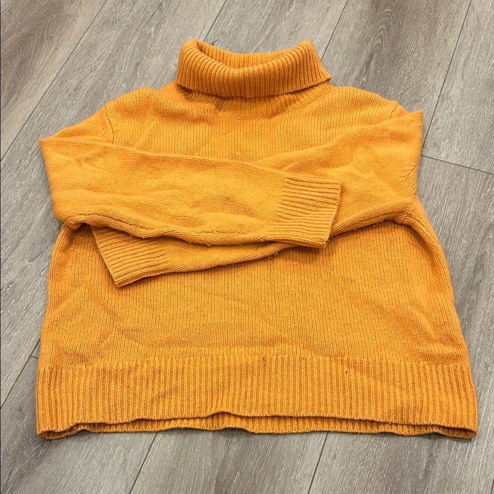 Wilfred Warm Amber Turtleneck